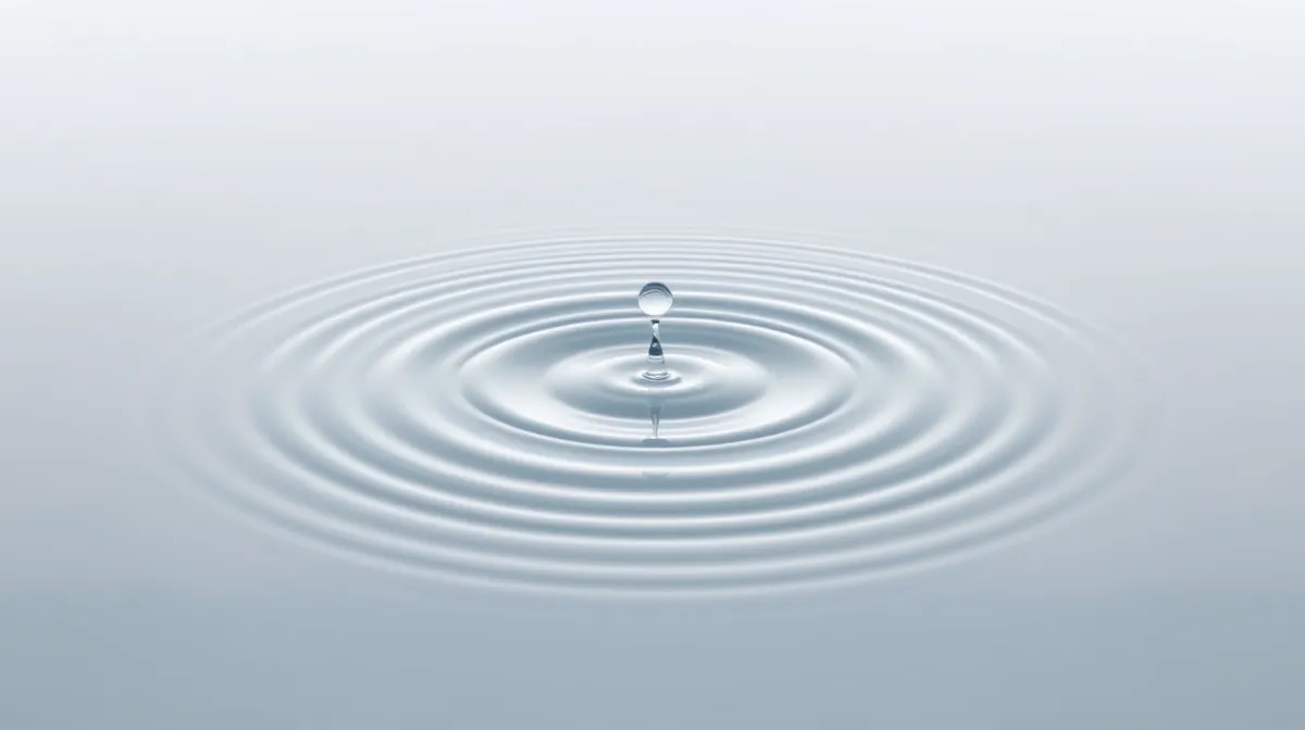 Imagen del blog